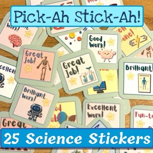 May include: A set of 25 colorful science-themed stickers with encouraging phrases like "Great Job!" and "Excellent Work!" The stickers feature illustrations of a brain, a skeleton, a robot, a beaker, and a person.