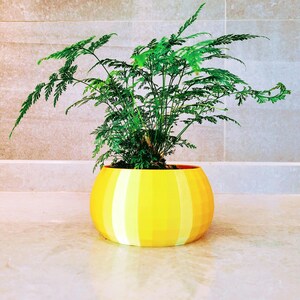 Puede incluir: Una planta de helecho verde en una maceta de cerámica amarilla con rayas. La maceta tiene una forma redondeada y está sobre una superficie gris claro.