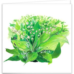 Lily Of The Valley