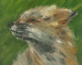 Savoring the Wind - Fox Oil Painting