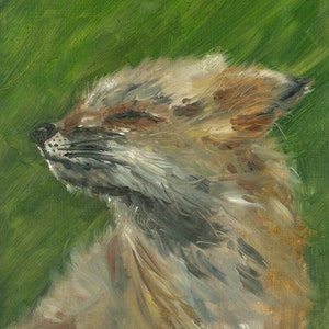 Fox oil painting - savoring the wind
