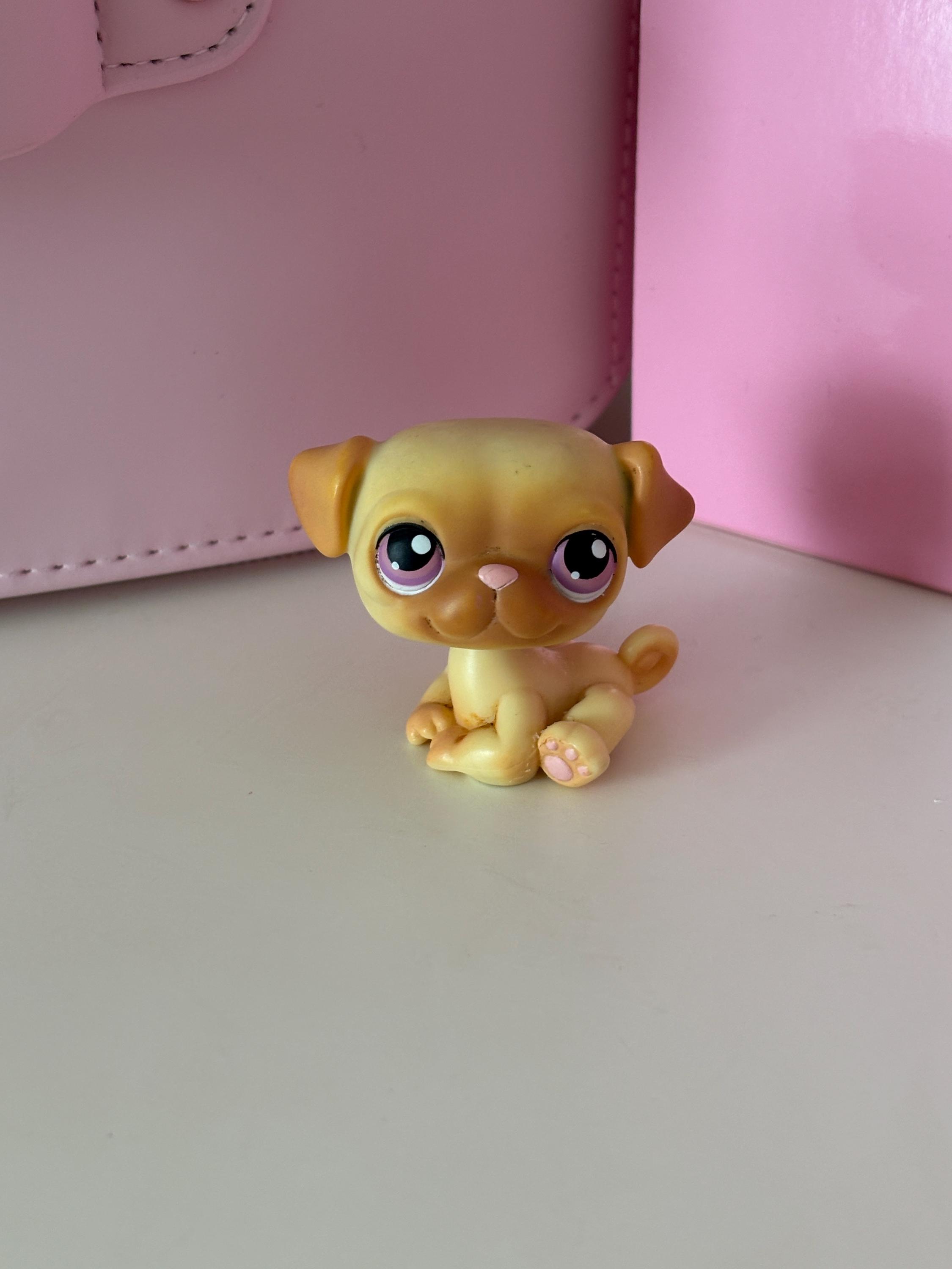 Unnumbered Rabbit Lps LPS LPS Pug Unnumbered # Littlest Pet Shop Costco Exclusive Rare HTF - Etsy