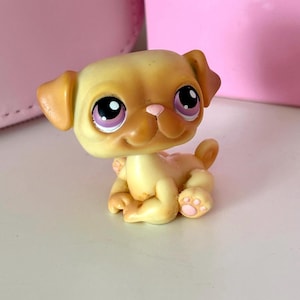 LPS LPS Mops Unnummeriert # Littlest Pet Shop Castco Exclusive Rare HTF