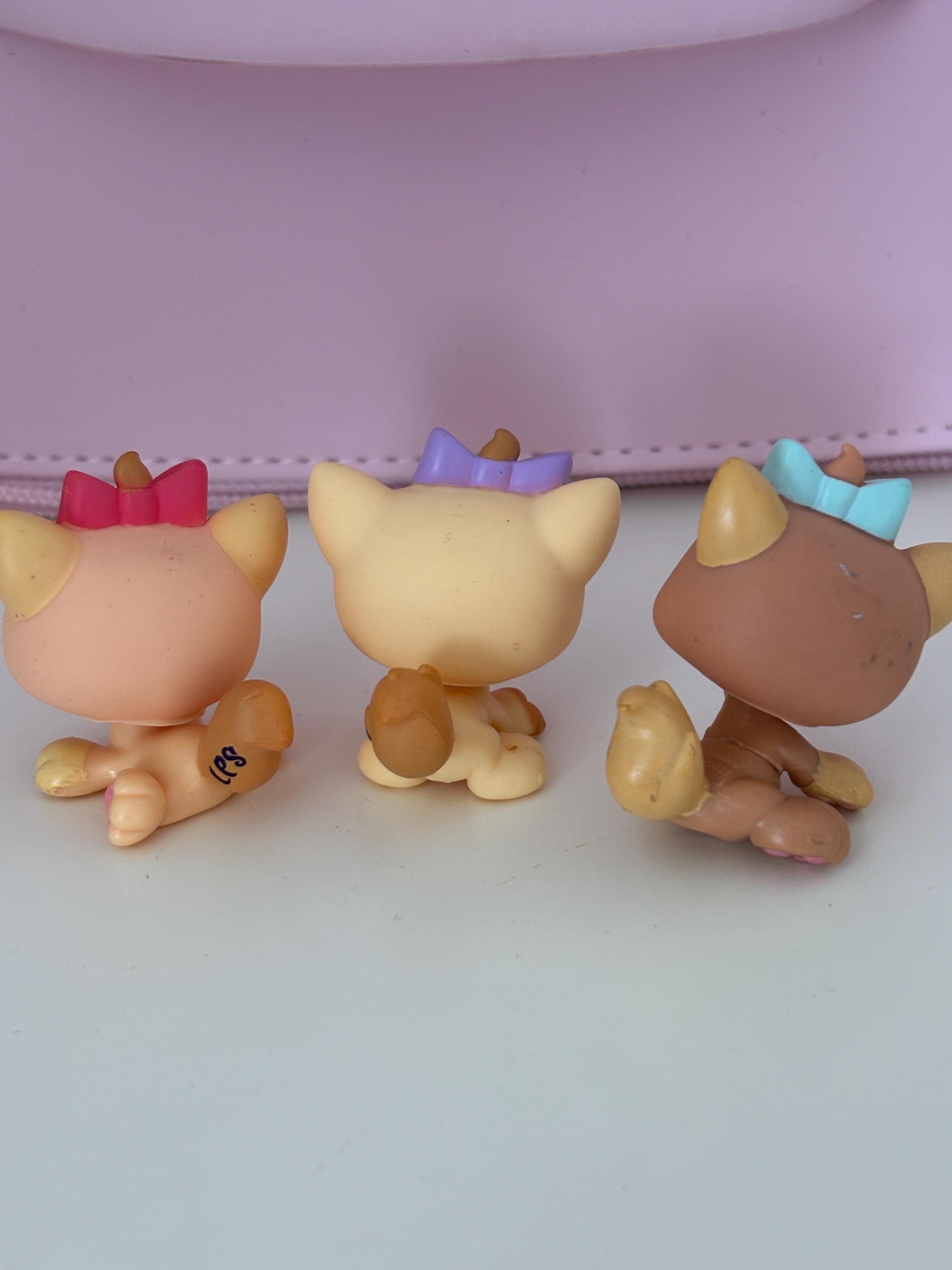 レトリバー Littlest Pet Shop Kitten Pet Triplets Authentic - Etsy