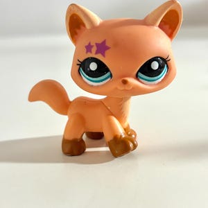 Littlest Pet Shop Cat #2258 Authentic Hasbro LPS Figure With Star