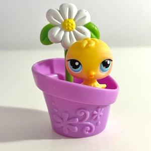 Puede incluir: Un juguete de pollito amarillo con grandes ojos azules está sentado en una maceta morada. Una margarita blanca con centro amarillo y hojas verdes se alza detrás del pollito. La maceta tiene un diseño floral.