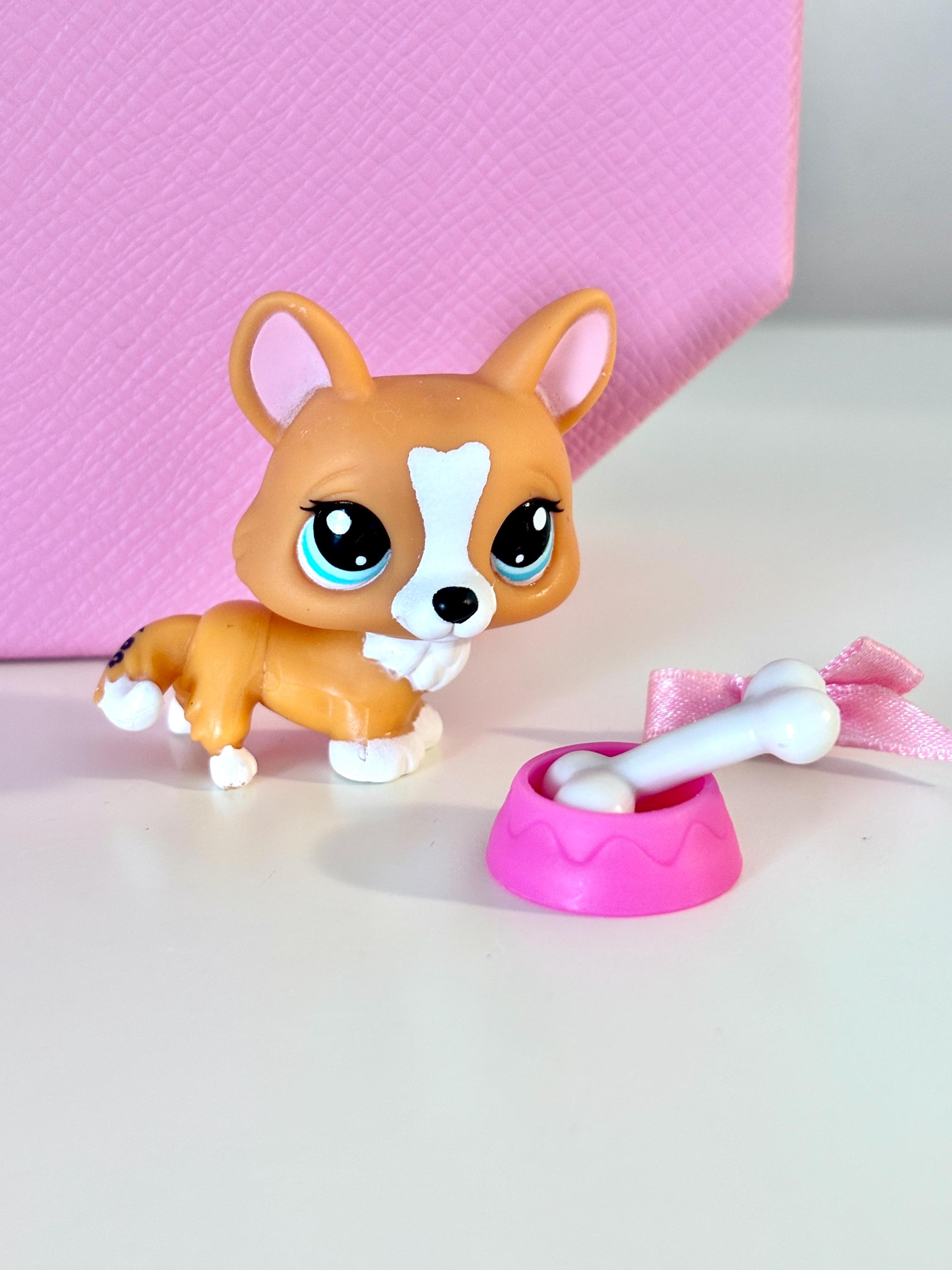 LPS＋ソフトコーラル飼育セット ゆい LPS＋ソフトコーラル飼育セット LPS＋ソフトコーラル飼育セット