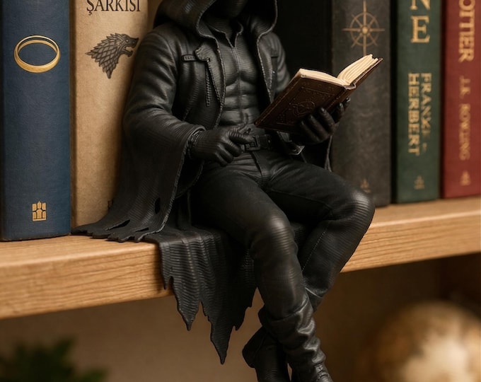 Hooded Reader Figurine, Dark Shelf Decor, Fantasy Book Lover Statue
