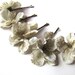 see more listings in the Flowers & Headbands section