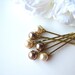 see more listings in the Hair Pins - Brown Yellow section