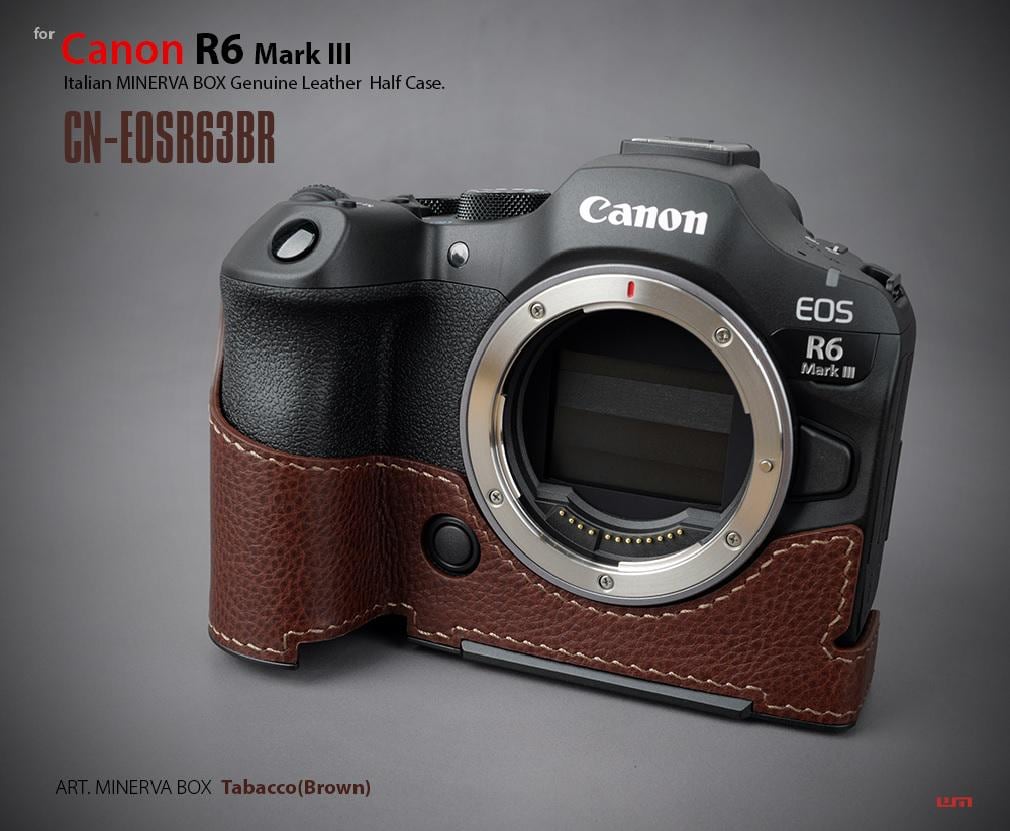Canon R6 Leather Case - Etsy