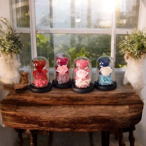 Eternal Rose Dome with Teddy Bear | Preserved Flower Arrangement | Romantic Gift for Anniversary, Birthday, or Home Decor