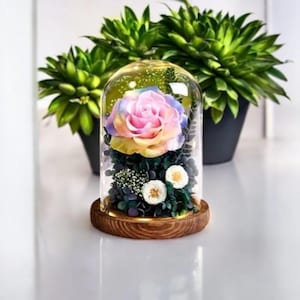 Handmade LED Glass Dome Flower Lamp with Wooden Base – Romantic Night Light Gift for Her, Wedding or Anniversary Home Decor