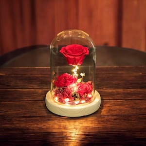 Handmade LED Flower Dome Lamp with Floral Lights Under Glass | Romantic Night Light | Gift for Her | Wedding, Desk, Bedroom or Home Decor