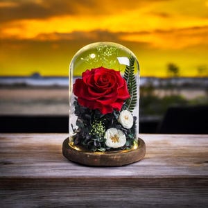 Handmade LED Glass Dome Flower Lamp with Wooden Base – Romantic Night Light Gift for Her, Wedding or Anniversary Home Decor
