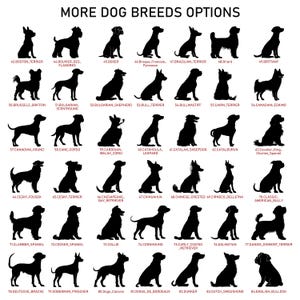 May include: A black and white graphic featuring silhouettes of various dog breeds, including a Boston Terrier, Boxer, and Dalmatian. The text "MORE DOG BREEDS OPTIONS" is at the top, with breed names below each silhouette.