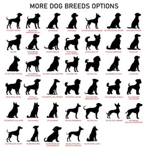 May include: A graphic featuring silhouettes of various dog breeds, including a Poodle, Terrier, and Husky. Each dog is labeled with a breed name and a number. The text "MORE DOG BREEDS OPTIONS" is at the top.