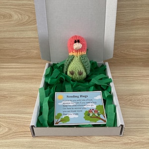 May include: A knitted bird toy in a gift box with green paper filling. The bird has a pink head and green body. A card inside the box reads "Sending Hugs" with a poem and an illustration of two birds on a branch.