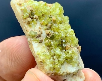 19.5 CTS ブルー/グリーントルマリンスライス結晶標本、ブラジル