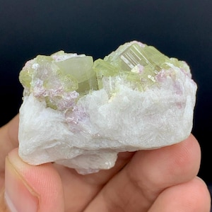 Peut inclure: Gros plan sur un spécimen minéral avec des cristaux de tourmaline vert clair et rose sur une base de quartz blanc. Les cristaux sont prismatiques et le quartz a une texture rugueuse. Le spécimen est tenu à la main.