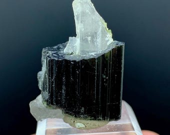 スカルドゥ産 長石上の水晶とブラックトルマリン パキスタン、スカルドゥ産 22 カラット ブラック トルマリンとクォーツ