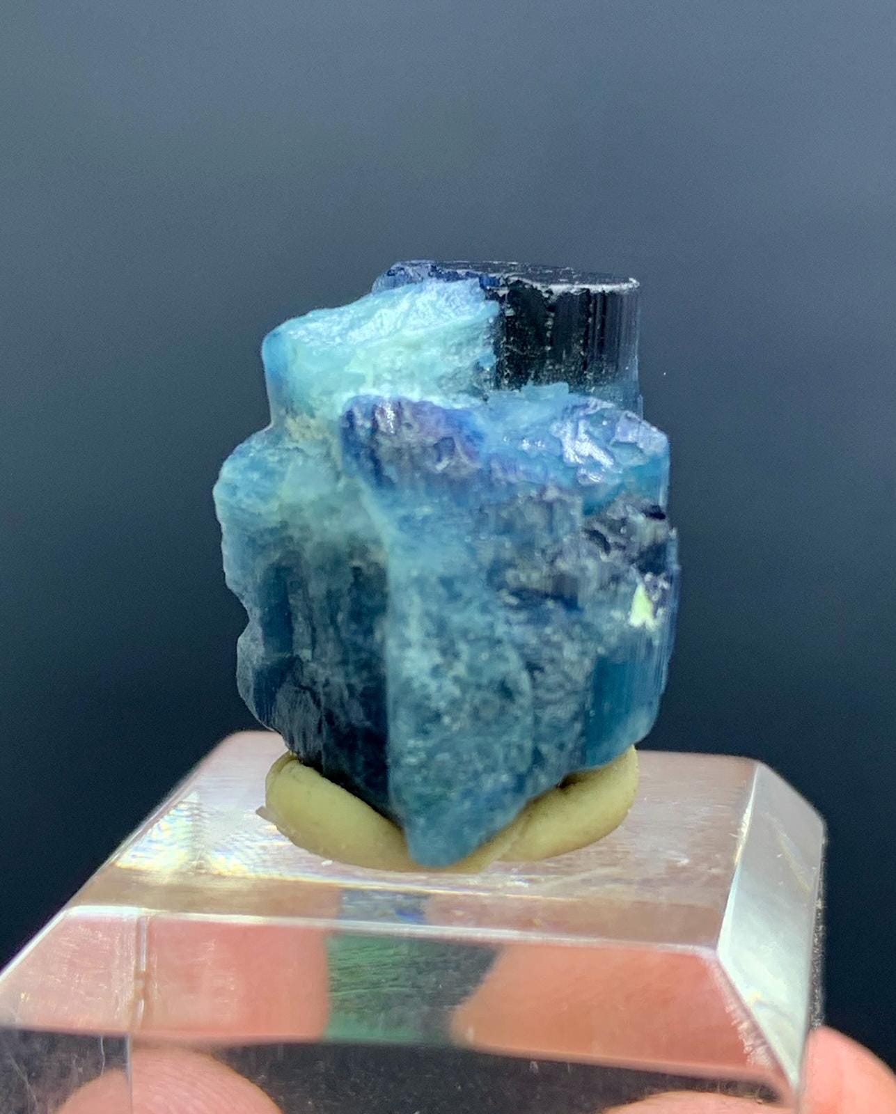 バイカラートルマリンクリスタル：ブルーインディコライト原石標本