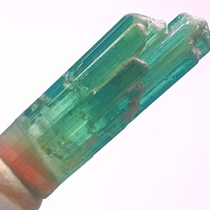 May include: A close-up of a vibrant, translucent tourmaline crystal. The crystal displays a gradient of colors, transitioning from a reddish-orange base to a teal-green hue at the top. The crystal has a striated texture and is set against a white background.