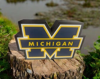 University of Michigan led Lightbox