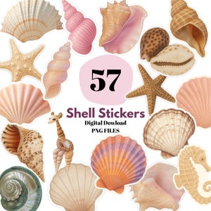 Pacote de Adesivos de Conchas | Adesivos para Planejador Digital l Clipart Estético PNG Praia Digital Download | Adesivos de Conchas para Imprimir | Natureza Oceânica