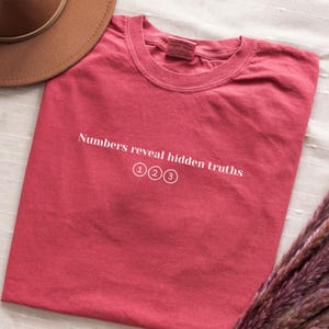 May include: A red t-shirt with the text "Numbers reveal hidden truths" and the numbers 1, 2, and 3 in circles. A brown hat is partially visible in the upper left corner. The shirt is made of a soft material.