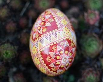 Pysanky eggs Ukrainian Easter egg ornament pysanka gift idea Christmas hand painted egg shell made in Canada Etsy gifts handcrafted eggs