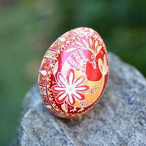 以下が含まれることがあります： 赤色の背景に、白、黄、オレンジの花と鳥の複雑なデザインが施された手描きの装飾的な卵。卵は灰色の石の上に置かれ、詳細なアートワークが示されています。