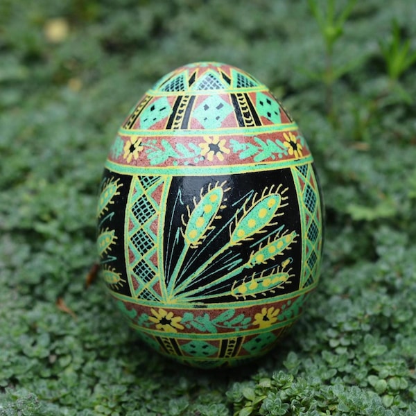 Adorno de huevo pysanka ucraniano pintado a mano: arte batik con trigo verde y cáscara de huevo floral