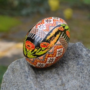 Pysanky eggs with red poppies traditional Ukrainian Easter egg made in Canada hand painted decorative egg ornaments chicken eggshell artwork
