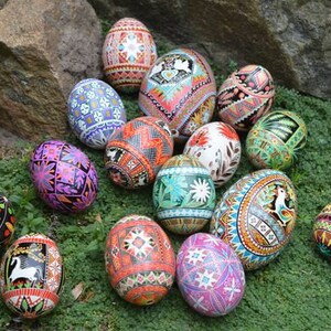 Pysanky Egg ornament Love birds, Ukrainische ostereier pysanka anniversary gift parents decorative real chickens eggshells pysanka art image 7