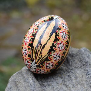 Handgeschilderd pysanka-ei, Oekraïens Pysanky-tarwepatroonmotief Chciekn-eierschaalornament