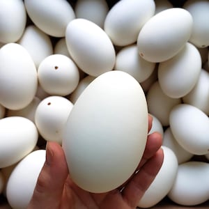 Op de afbeelding: Een verzameling gladde, matwitte, ovaalvormige kralen, elk voorzien van een klein gaatje. Eén kraal wordt op de voorgrond vastgehouden, wat de uniforme eivorm en het schone, effen witte oppervlak laat zien tegen een hoop identieke kralen.