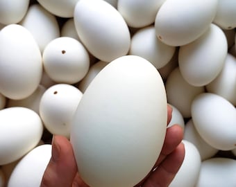 Hollow Goose Eggs for Pysanky, Blown Out Craft Supplies, Natural Blank Eggshells for Batik