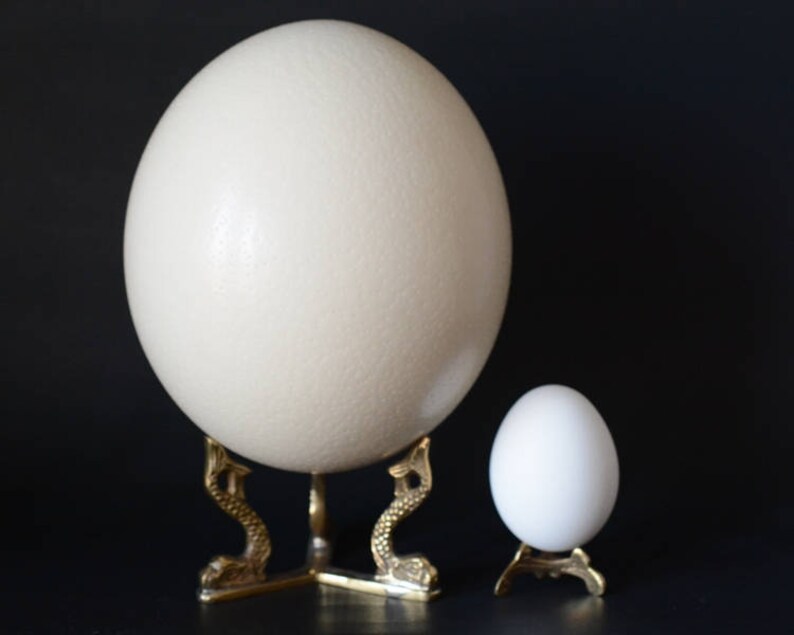 Ostrich egg stand Ukrainian pysanky eggs display stands solid Etsy
