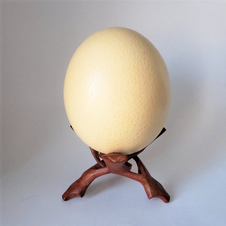Ostrich egg display stand large egg or crystal ball stands Etsy