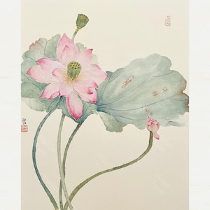 Pintura original de flor de loto, arte de estilo vintage, acuarelas tradicionales chinas, pintura en tinta, decoración antigua, decoración de pared, regalo para el nuevo hogar.