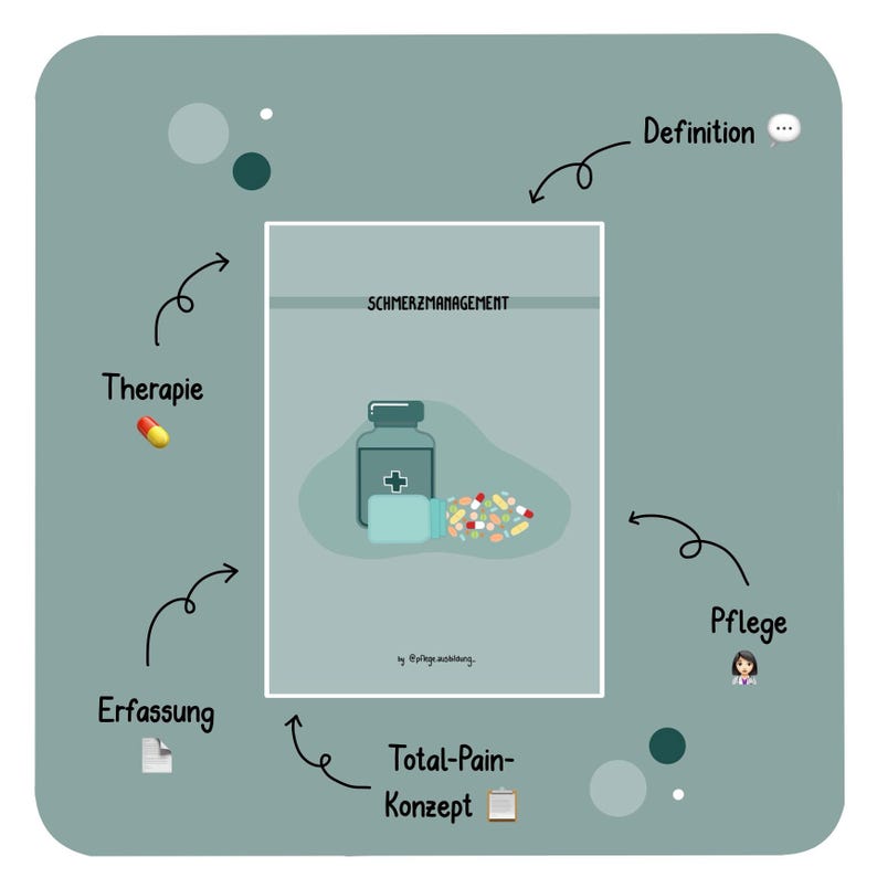 Puede incluir: Un diagrama que ilustra el concepto de gesti&oacute;n del dolor. El diagrama incluye un frasco de pastillas, pastillas y las palabras "Schmerzmanagement", "Total-Pain-Konzept", "Definici&oacute;n", "Terapia", "Cuidado", "Captura".