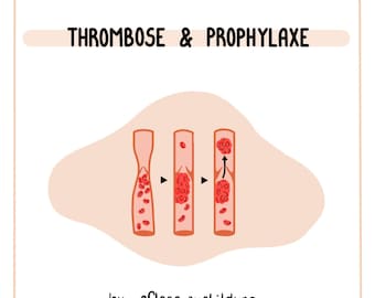Thrombose & Prophylaxe