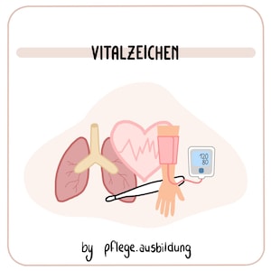 Könnte beinhalten: Medizinische Illustration mit dem Text "VITALZEICHEN". Das Bild zeigt Lungen, ein Herz mit einer Wellenform, ein Blutdruckmessgerät mit 120/80 und ein Thermometer. Der Satz "by pflege.ausbildung" steht unten.