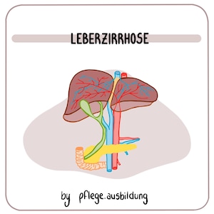 May include: Anatomy illustration of a liver with the text "LEBERZIRRHOSE" at the top. The liver is brown with red and blue veins. Other organs are shown in green, yellow, and blue. The text "by pflege.ausbildung" is at the bottom.