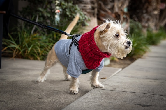 Crochet Dog Scarf | Hand Knit Cowl, Pet Neck Warmer