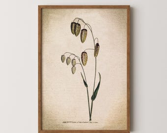 Vintage Botanical Wall Art Print | Printable Kitchen Art | Country Botanical Print | Modern Farmhouse Decor | Cottage Style Botanical Art