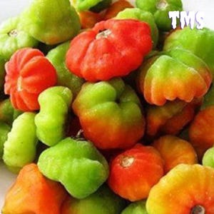 Ají Dulce de Puerto Rico 75 Semillas / Pimiento Habanero Dulce / Capsicum Chinense Heirloom