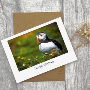 Carte d'anniversaire macareux A6 - carte de voeux paysage personnalisée, photographie animalière de haute qualité