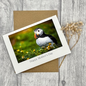 Carte de fête des mères macareux A6 - photographie animalière de haute qualité, carte de voeux personnalisée de paysage